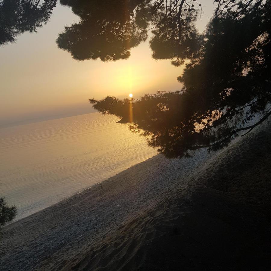 Lorena Luxury Apartment Makarska Eksteriør billede